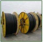 2심 XLPE 절연 케이블