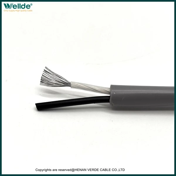 product-600-600